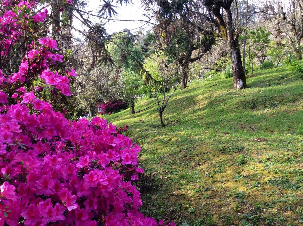 Sitio Nossa Senhora De Loreto Campos do Jordão Exterior foto